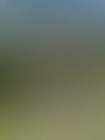 Grüße aus den Bergen