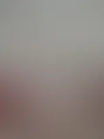 đ„ Feed-Edition đ„