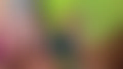 plätschern sollte es bald ;)