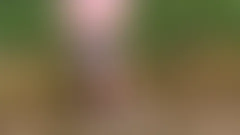 Spontaner Einblick am Vormittag... 🌸🔥