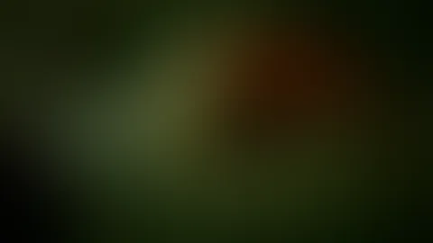 Eines meiner ersten Video…Einfach mit gefilmt…
