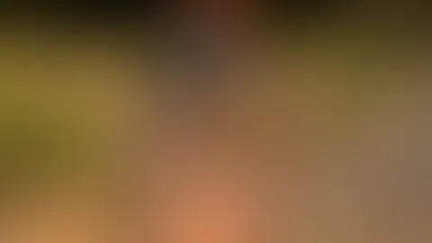 Ein Ausflug in den Wald