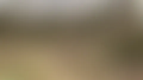 Mein erstes S*x Video mit Gesichtsbesamung! Und das war auch noch Outdoor!