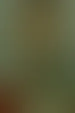 Nackt von vorne und hinten đ„°đ