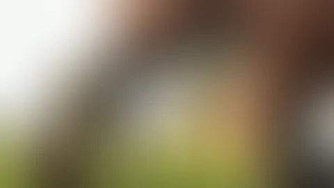 Gestern beim spazieren gehen wurde ich plötzlich geil, ich musste es mir auf der Stelle selbst besorgen.😊 Schade das kein Typ vorbeigekommen ist und mich als Wixx Vorlage benutzt hat 😁😜 Macht ihr d
