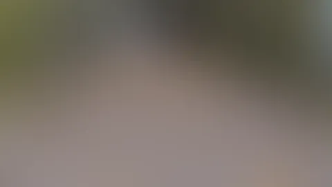 Wie wohl der Rückweg aussieht