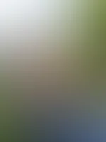 Meine nasse Katze im Garten