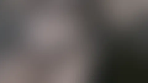 Gummi mit Schokoladen Geschmack