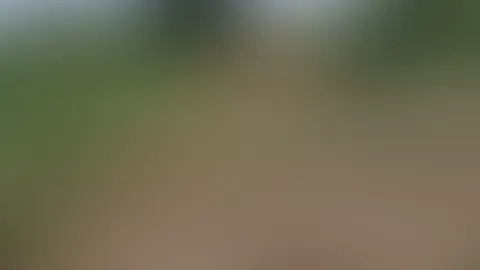 Sonnige Grüße mitten aus dem Grünen... 🔥🌿