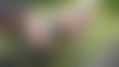 An der Leine ausgeführt zum abp**sen Natursektspiele