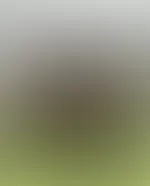 Jetzt siehst du alles. Und ich mein wirklich alles 😈💦