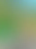 💚