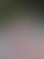 Like if you wanna see more đđ
