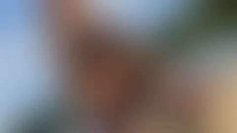 Die Sonne kommt raus⊠und mit ihr eine Seite von mir, die ihr definitiv nicht verpassen solltet đđ„