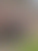 Guten morgen