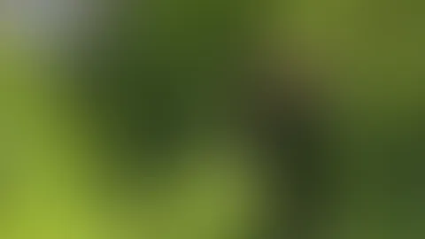 Wir hatten heute so tolles Wetter, dass ich es nicht lassen konnte, einen langen Spaziergang in unserem örtlichen Park zu machen. Wie immer fühlte ich mich geil, also zog ich meine Hose herunter, scho