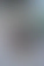guten morgen