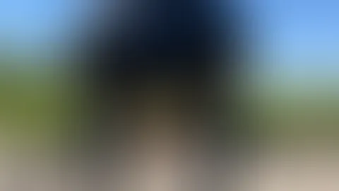 Mein praller A***h will dich kennenlernen. đ