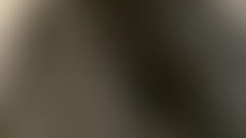 đ