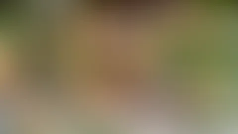 Frühlingsvibes… spürst du sie auch schon ☺️? Die Tage werden länger, die Stimmung steigt – und ich hab da etwas ganz Besonderes für dich vorbereitet 😱🔥 Was dabei rausgekommen ist… willst du nicht ve