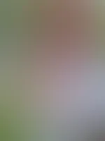 Bereit für einen heißen Abend 🤩😈🔥