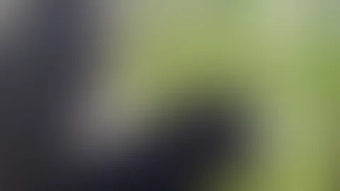 Ns Kundenwunsch Video