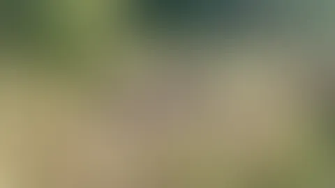 P***y Massage in der freien Natur