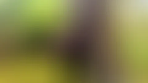 Den sonnigen Tag genossen