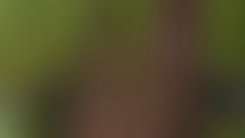Spazieren gehen und im Wald es mir machen