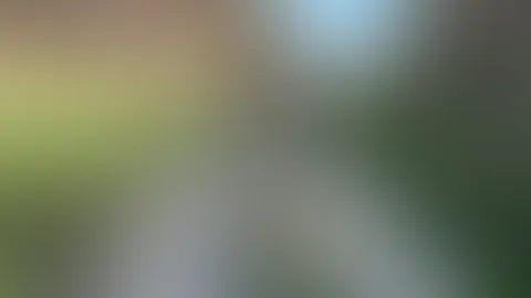 Sexy walk in the woods