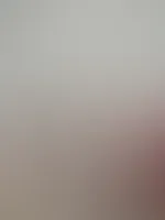 đ° Feed-Edition đ°