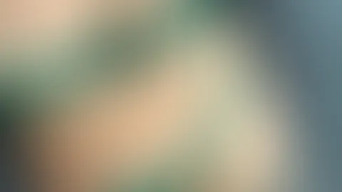 💚 Neues grünes Set – Wie gefällt es dir? 💚 Ich habe ein neues grünes Set bekommen und wollte dir direkt die ersten beiden Bilder zeigen. 😘 Jetzt bin ich gespannt auf deine Meinung!  Wie gefällt dir