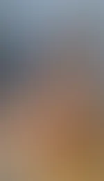 đ