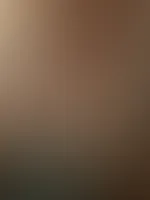 das Top ist wohl durchsichtig