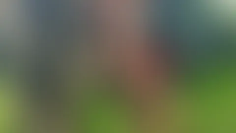 Na wie feiert ihr Weihnachten?