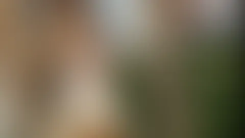 F**kst du mich heimlich hier bei der Palme?