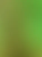 Sonnigen Nachmittag euch đ„”
