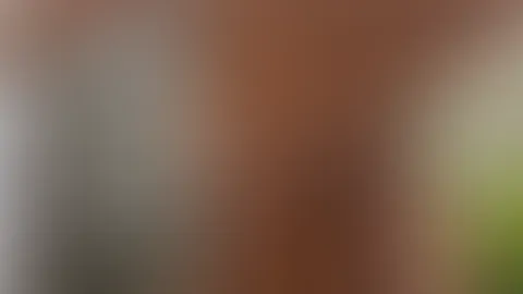Duschen, anziehen, zuschauen.