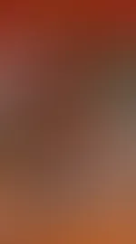 Einen wunderschönen Mittwoch 🌹