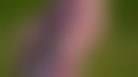 Pssst... Ich habe da etwas Neues für dich 😏🌲☘️🥾🌻