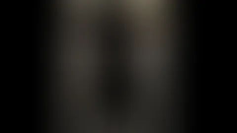 Denkst du, ich hatte da noch etwas an? đ