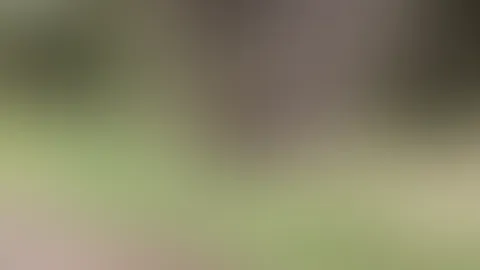 Schickes Dirndl trifft auf MILF im Wald. Ich massiere mir meine schönen Titten.