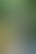 Mach dir Platz auf deiner Fantasie-Liste… ich komme ganz oben.