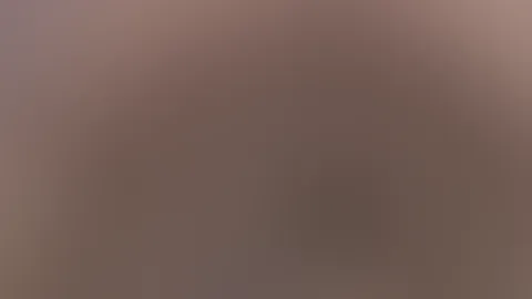 Sekt