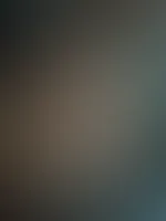đ