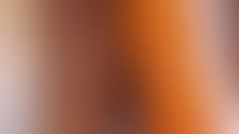 Ein feuchter Morgen mit meiner Karotte