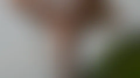 Outdoor Pole-Stream đđ„° Die neue Serie ist jetzt verfĂŒgbar đ