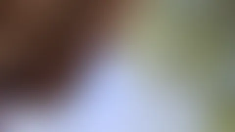 Kommst du mit das wetter genießen?