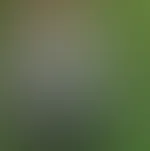 Ausziehen im Wald