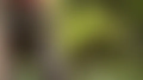Dieser Waldweg hat überraschend viele Ecken für Unfug 😏😈